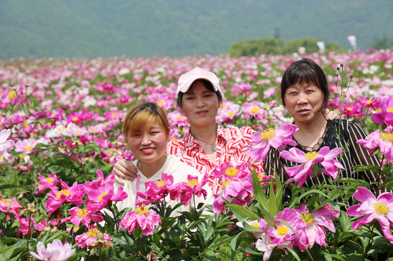 幸福利澳国际注册-让利澳国际注册一起相约美好 看繁花似锦