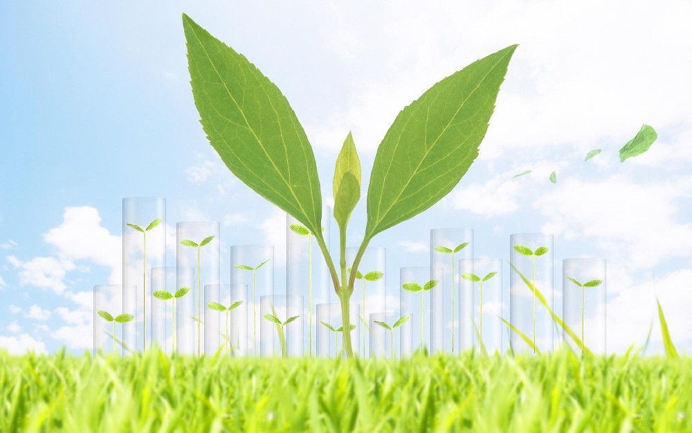 生物质发电厂如何除尘？